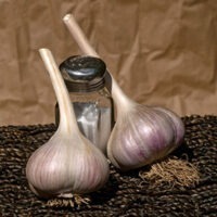Two bulbs of Fish Lake #3 garlic.