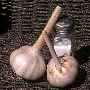 Two bulbs of Killarney Red garlic.