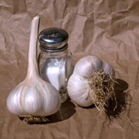 Two bulbs of Music garlic.
