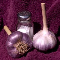 Two bulbs of Red Russian garlic.