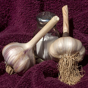 Two bulbs of Tibetan garlic.