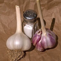 Two bulbs of Yugoslavian garlic.